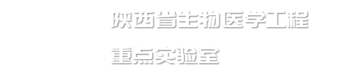 生物医学信息工程